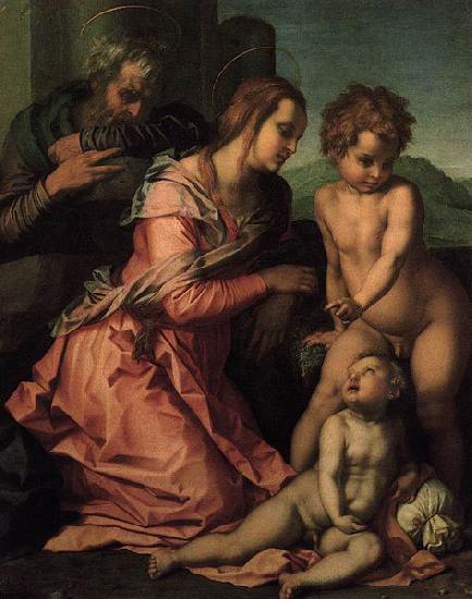 Andrea del Sarto Holy Family oil painting image